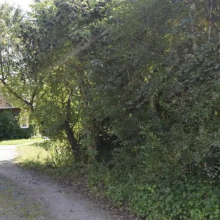 Waldglück *