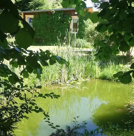 Waldglück
